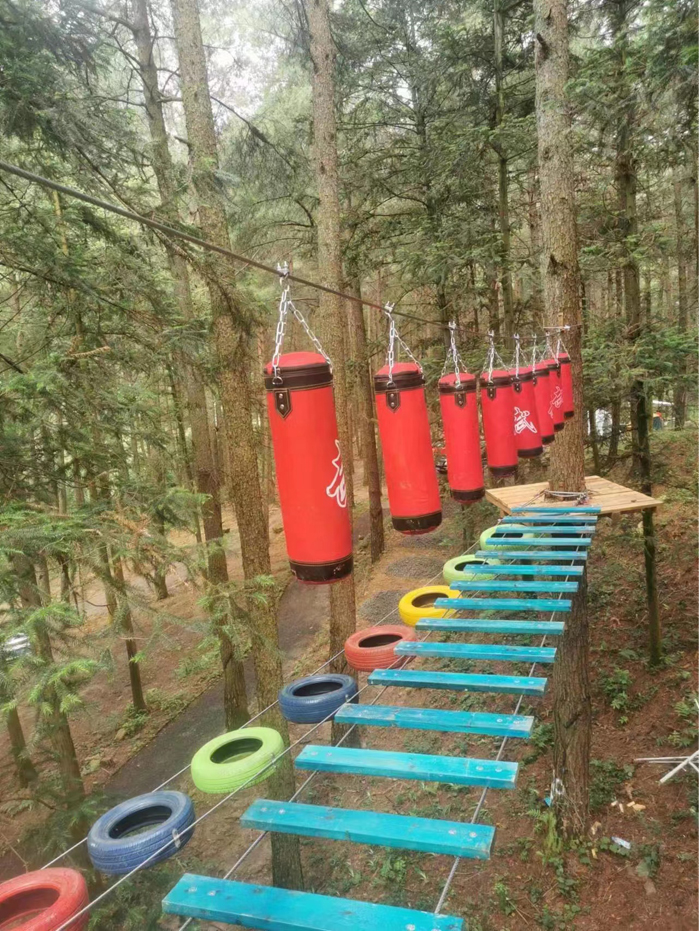 新鄉(xiāng)市鼎盛鑫游樂設備有限公司